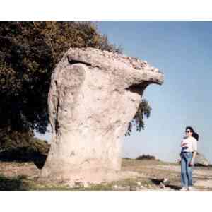 Click para ampliar. Pulsa en el nombre para ver la ficha.